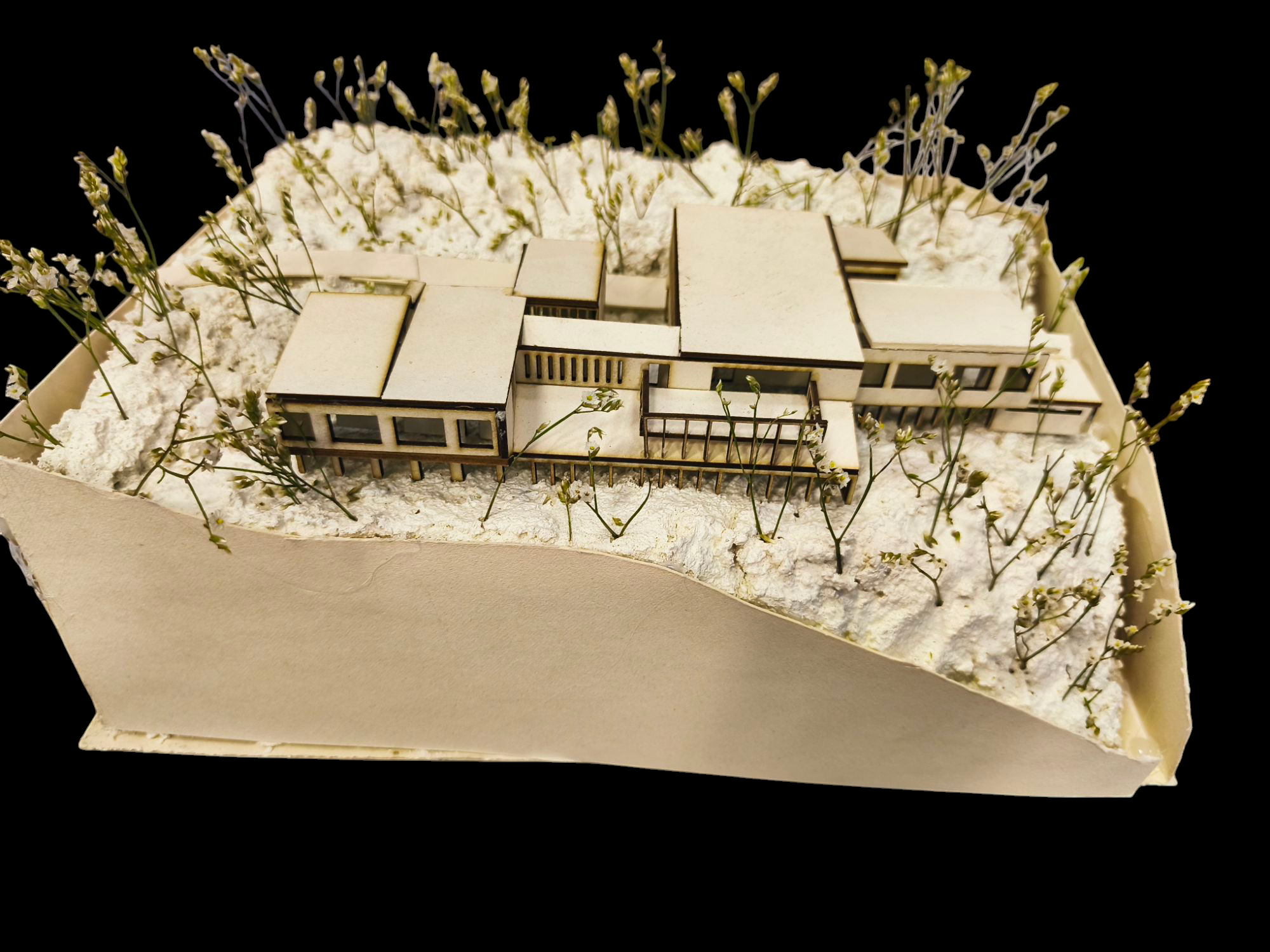 TPCAU – Projet 5 : Résidence d’artistes a saint Sébastien suite au voyage avec l’école.